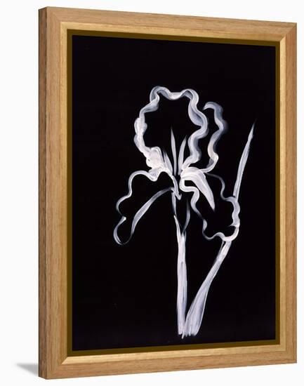 Shadow Iris-Susan Gillette-Framed Premier Image Canvas