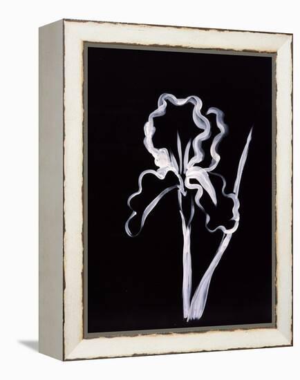 Shadow Iris-Susan Gillette-Framed Premier Image Canvas