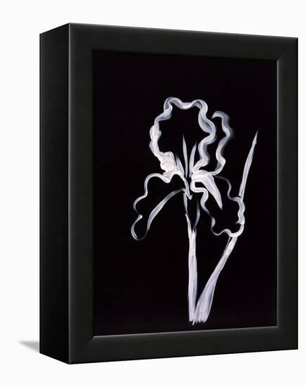 Shadow Iris-Susan Gillette-Framed Premier Image Canvas