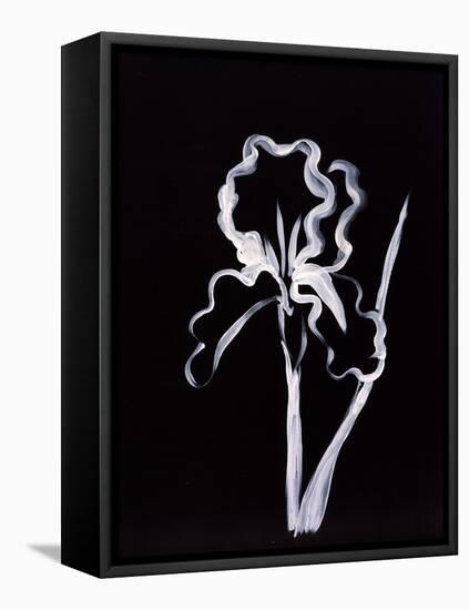 Shadow Iris-Susan Gillette-Framed Premier Image Canvas