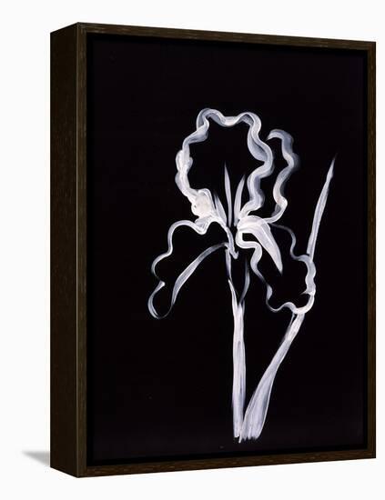 Shadow Iris-Susan Gillette-Framed Premier Image Canvas