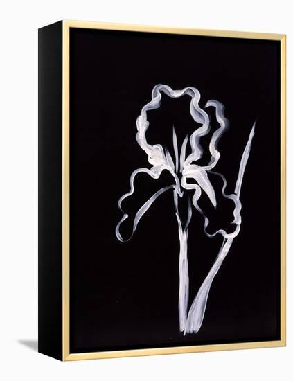 Shadow Iris-Susan Gillette-Framed Premier Image Canvas