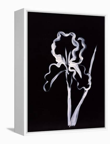 Shadow Iris-Susan Gillette-Framed Premier Image Canvas