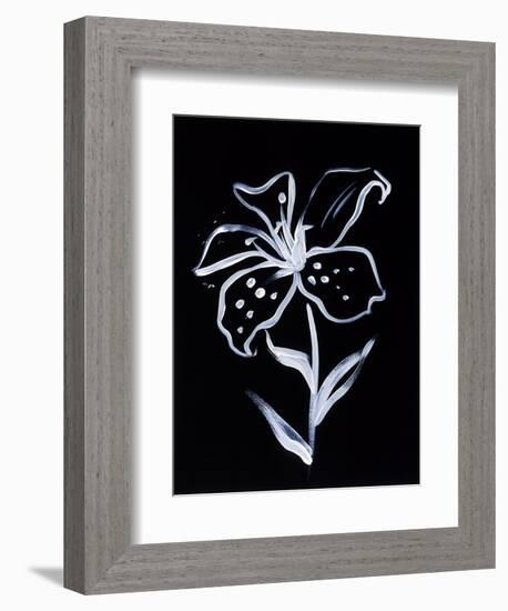 Shadow Lily-Susan Gillette-Framed Giclee Print