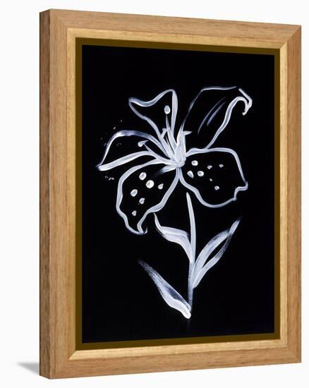 Shadow Lily-Susan Gillette-Framed Premier Image Canvas