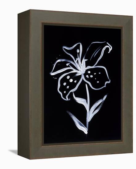 Shadow Lily-Susan Gillette-Framed Premier Image Canvas