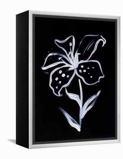 Shadow Lily-Susan Gillette-Framed Premier Image Canvas