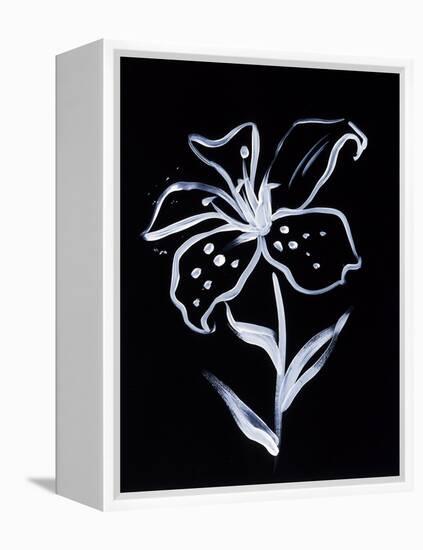 Shadow Lily-Susan Gillette-Framed Premier Image Canvas