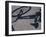 Shadow of a Bicycle-null-Framed Photographic Print