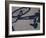 Shadow of a Bicycle-null-Framed Photographic Print