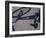 Shadow of a Bicycle-null-Framed Photographic Print