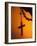 Shadow of a Cross-Pascal Deloche-Framed Photographic Print