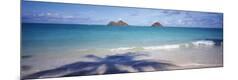 Premium Photographic Print