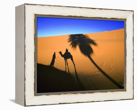 Shadow of Camel and Palm Tree-Martin Harvey-Framed Premier Image Canvas