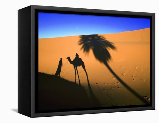 Shadow of Camel and Palm Tree-Martin Harvey-Framed Premier Image Canvas