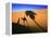 Shadow of Camel and Palm Tree-Martin Harvey-Framed Premier Image Canvas