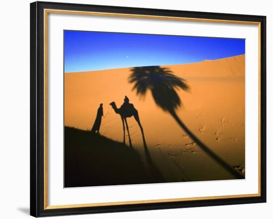 Shadow of Camel and Palm Tree-Martin Harvey-Framed Photographic Print