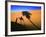 Shadow of Camel and Palm Tree-Martin Harvey-Framed Photographic Print