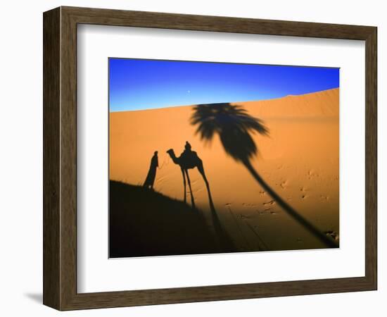 Shadow of Camel and Palm Tree-Martin Harvey-Framed Photographic Print