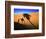 Shadow of Camel and Palm Tree-Martin Harvey-Framed Photographic Print