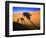 Shadow of Camel and Palm Tree-Martin Harvey-Framed Photographic Print