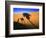 Shadow of Camel and Palm Tree-Martin Harvey-Framed Photographic Print