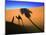 Shadow of Camel and Palm Tree-Martin Harvey-Mounted Photographic Print
