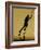 Shadow of Tennis Player Serving-null-Framed Photographic Print