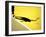 Shadow of Tennis Player Serving-null-Framed Photographic Print