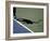 Shadow of Tennis Player Serving-null-Framed Photographic Print