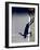 Shadow of Tennis Player Serving-null-Framed Photographic Print