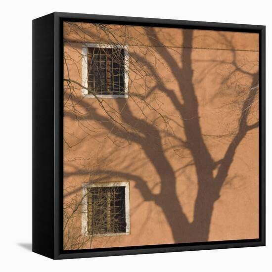 Shadow of Tree on Orange Venice Building Exterior-Mike Burton-Framed Premier Image Canvas