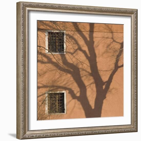 Shadow of Tree on Orange Venice Building Exterior-Mike Burton-Framed Photographic Print