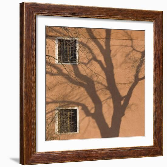 Shadow of Tree on Orange Venice Building Exterior-Mike Burton-Framed Photographic Print