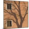 Shadow of Tree on Orange Venice Building Exterior-Mike Burton-Mounted Photographic Print