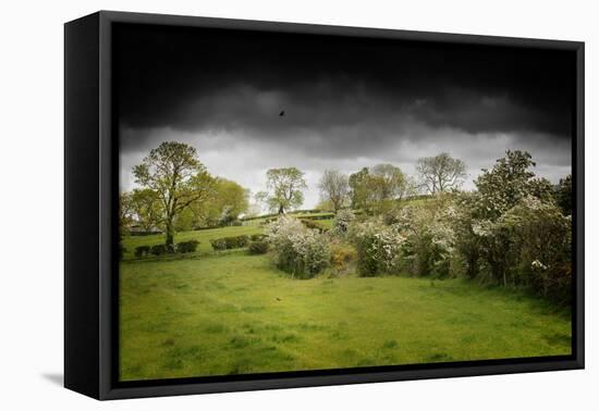 Shadow on the Green-Philippe Sainte-Laudy-Framed Premier Image Canvas