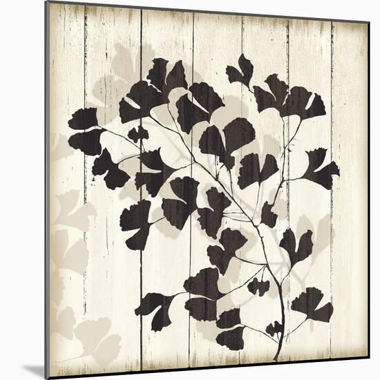 Shadow on Wood I-Andrew Michaels-Mounted Art Print