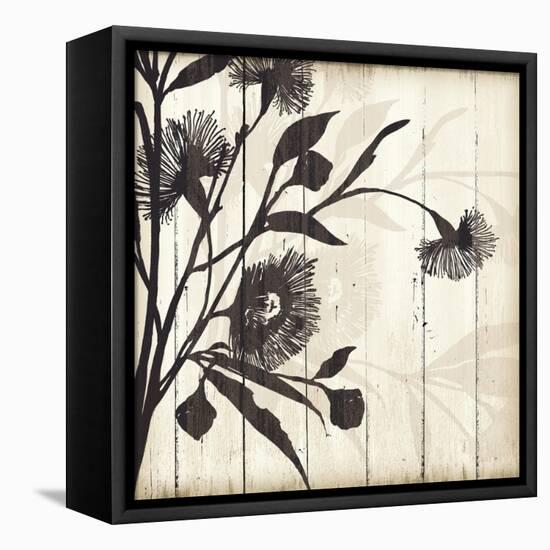 Shadow on Wood II-Andrew Michaels-Framed Stretched Canvas