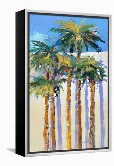 Shadow Palms I-Jane Slivka-Framed Stretched Canvas