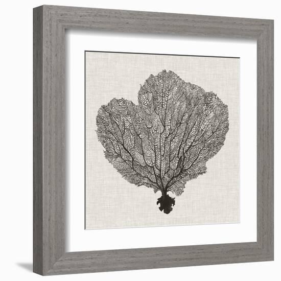 Shadow Sea Fan I-Grace Popp-Framed Art Print