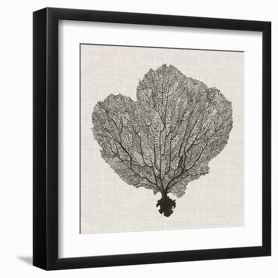 Shadow Sea Fan I-Grace Popp-Framed Art Print