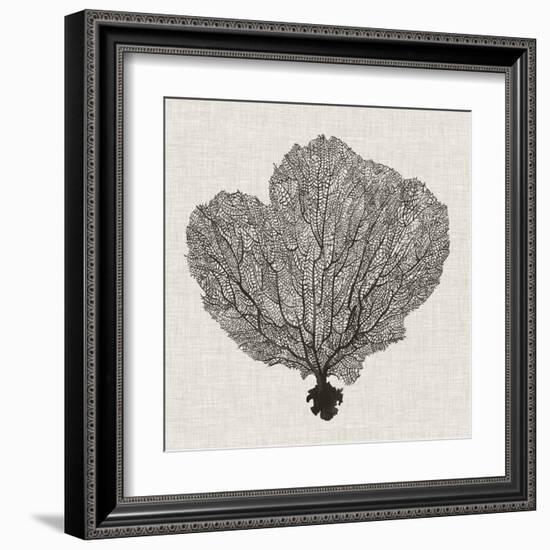 Shadow Sea Fan I-Grace Popp-Framed Art Print