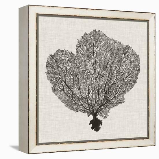 Shadow Sea Fan I-Grace Popp-Framed Stretched Canvas