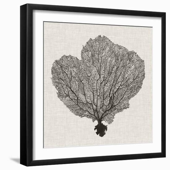 Shadow Sea Fan I-Grace Popp-Framed Art Print