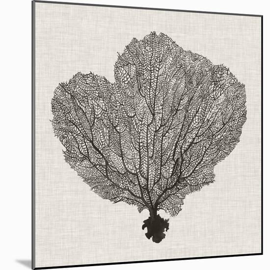 Shadow Sea Fan I-Grace Popp-Mounted Art Print