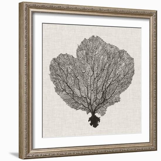 Shadow Sea Fan I-Grace Popp-Framed Premium Giclee Print