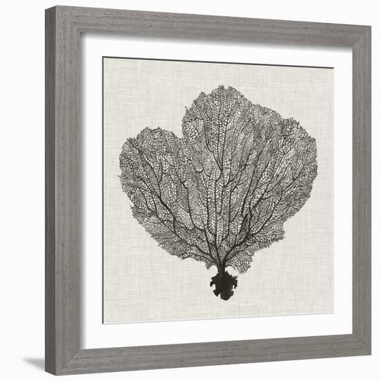 Shadow Sea Fan I-Grace Popp-Framed Premium Giclee Print