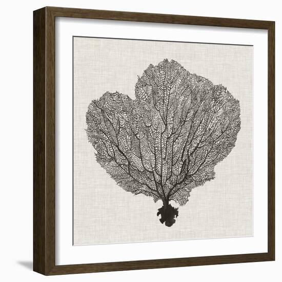 Shadow Sea Fan I-Grace Popp-Framed Premium Giclee Print