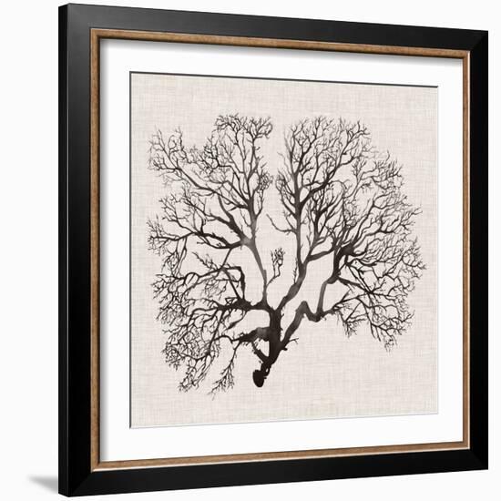 Shadow Sea Fan III-Grace Popp-Framed Art Print