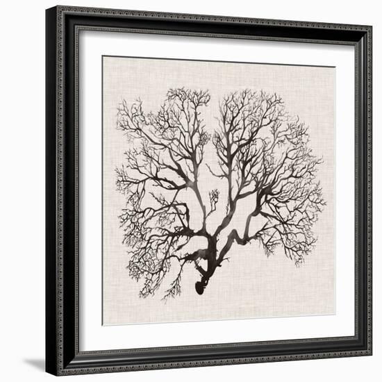 Shadow Sea Fan III-Grace Popp-Framed Art Print